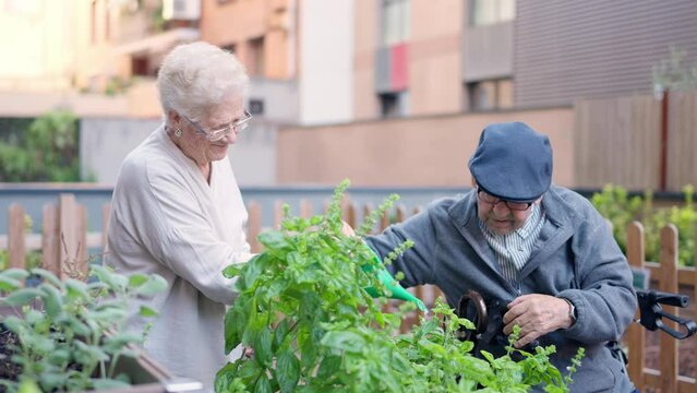 Old couple watering plants in the terrace of a geriatric