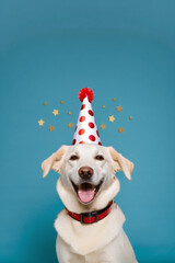 Portrait of a smiling dog wearing a party hat. Generative AI