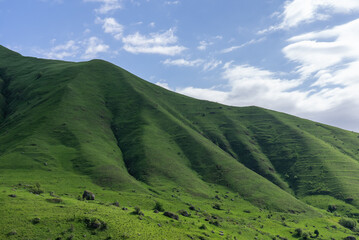 Obraz premium Landscape of Green Meadow on Mountains and Blue Sky in Summer