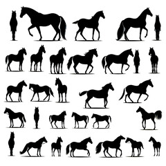 horse silhouettes collection isolated against transparent background