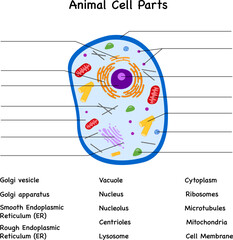 Animal cell parts diagram with labels and blind fields 