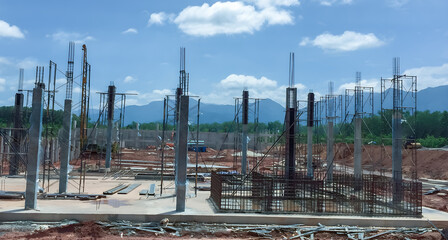 Building structure with reinforced cement columns