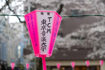 Meguro River Sakura Festival - 684218799
