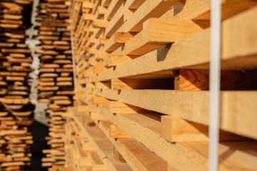 Close up of pine boards. Production of wood material on a sawmill