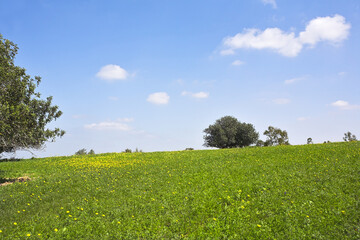 Midday on blossoming hills of hot coast of Mediterranean sea