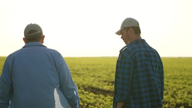 Agriculture. two male farmers walk through farmer field sunset. business meeting two entrepreneurs. two agronomists sunset. team farmers agronomists discuss harvest. organic vegetables. fresh sprouts