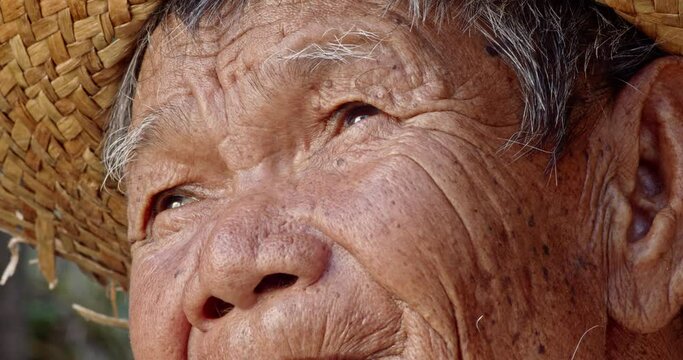 Close-up shot : Asian farmer's face who is a rural poor elderly villager standing, wearing hat, looking at the sky while he working in the crop field.