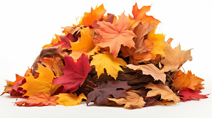 Autumn Leaves Pile on White Background