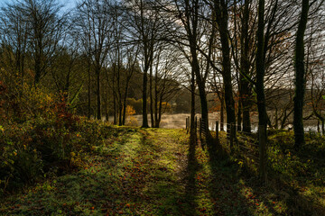 Autumn Mist on the Lake