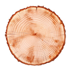 front view cherry birch tree slice cookie isolated on a white transparent background 