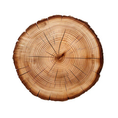 Fototapeta premium front view chestnut tree slice cookie isolated on a white transparent background 