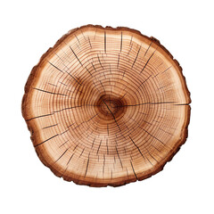 front view hickory tree slice cookie isolated on a white transparent background 