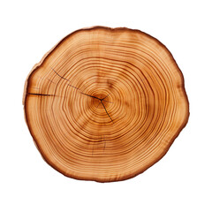 front view teak tree slice cookie isolated on a white transparent background 