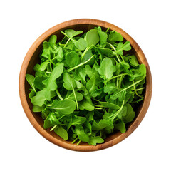 top view of arugula vegetable in a wooden bowl isolated on a white transparent background 