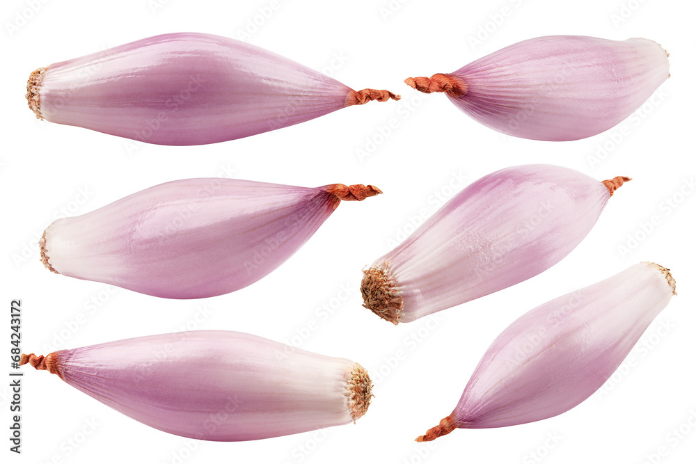 Wall mural onion, shallot, isolated on white background, clipping path, full depth of field