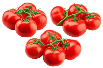 tomato on branch, isolated on white background, clipping path, full depth of field