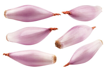 onion, shallot, isolated on white background, clipping path, full depth of field - obrazy, fototapety, plakaty