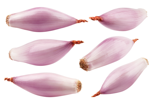 onion, shallot, isolated on white background, clipping path, full depth of field