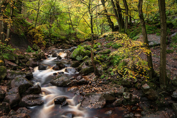 Beautiful Autumn landscape image of woodland and golden leaves and river running through deep valley below in Peak District National Park