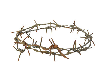 Fototapeta premium crown of thorns isolated on white background with clipping path.