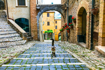 Traditional medieval villages of Italy - picturesque old floral streets of Casperia, Rieti province.