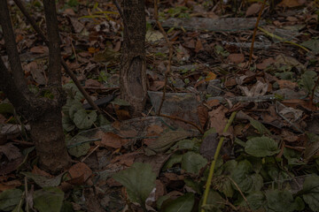 Kyiv, Ukraine - November 26, 2023: glass from broken windows is lying around on the street