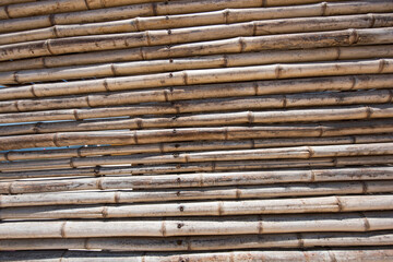 Bamboo texture background for interior or exterior design.
