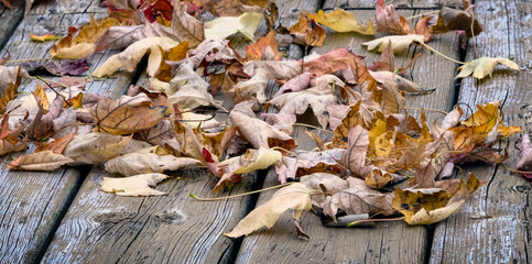 Dead fall leaves on a deck in Autum.