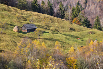 Mountain barn, haystack and a cow