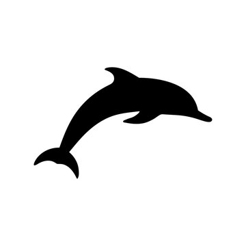 A silhouette black and white dolphin on white background vector art clip