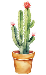 Watercolor cactus in pot.