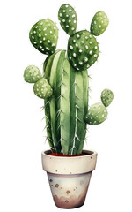 Watercolor cactus in pot.