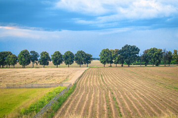 Fototapeta na wymiar Farmland in August after the wheat harvest. Tree and fence rows separate farmland, cultivated fields and meadows. European farm landscape