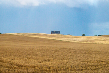 A lone farmhouse is visible on a hill in an endless wheat field. Evening rural landscape, rain clouds, wheat field with film grain