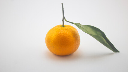 one tangerine on a white background
