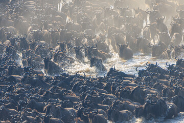 Dust, water and wildebeests