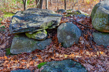 autumn leaves among the rocks