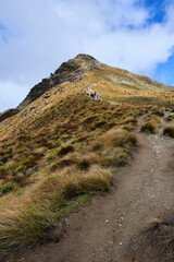 path in the mountains of ben lomond in new zealand