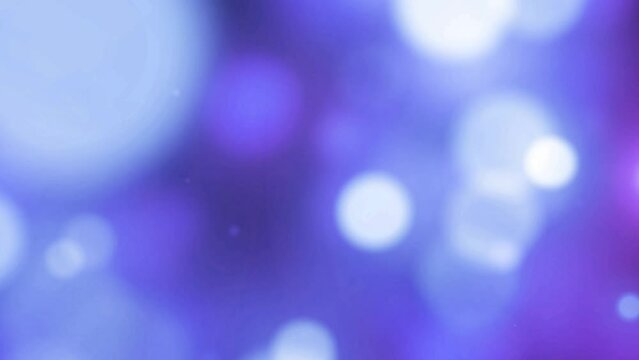 Fondo degradado animado, color morado, con burbujas fuera de fondo 