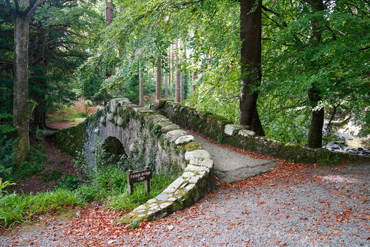 Foley's Bridge at Tollymore Forest Park, County Down, Northern Ireland