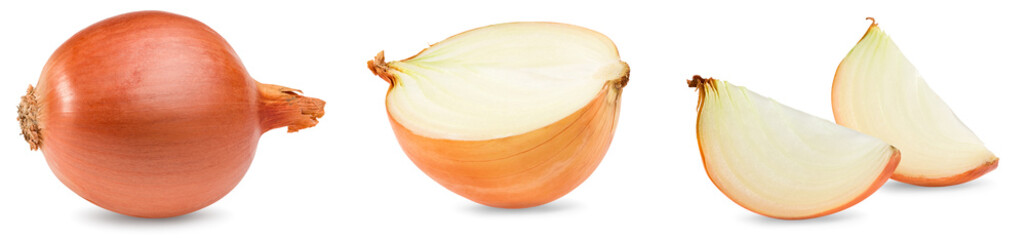 cut of onion isolated on white background. full depth of field. clipping path