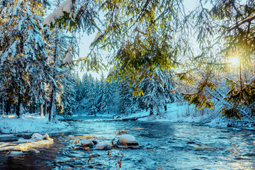 Winter fairy-tale landscape of a forest area with a flowing, non-freezing river.