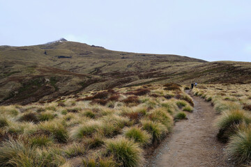 path in the mountains in new zealand