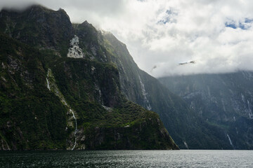 fjords in milford sound, new zealand