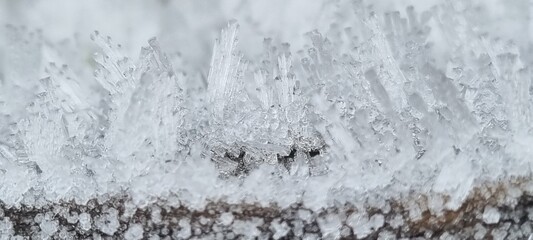 Variety of plants frozen and closeup pictures of ice and frost on a winters morning