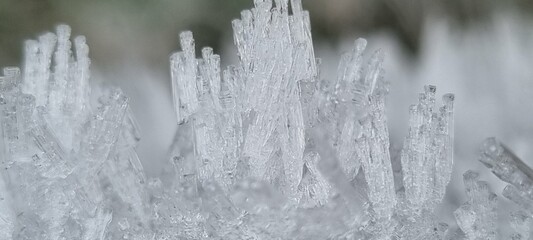 Variety of plants frozen and closeup pictures of ice and frost on a winters morning