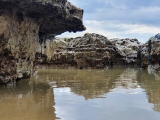 Bexhill Beach and seafront promenade and De La Warr Pavilion, east Sussex, England