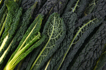 close up of the vegetable Kale leves