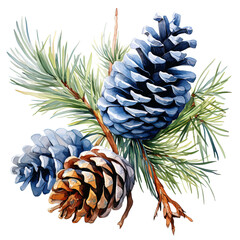 Watercolor pine cones isolated background
