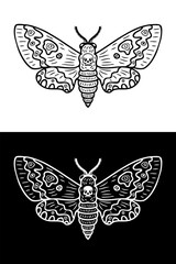Monochrome acherontia atropos hawk moth doodle. Perfect print for tee, poster, card, sticker, banner. Hand drawn vector illustration. - obrazy, fototapety, plakaty